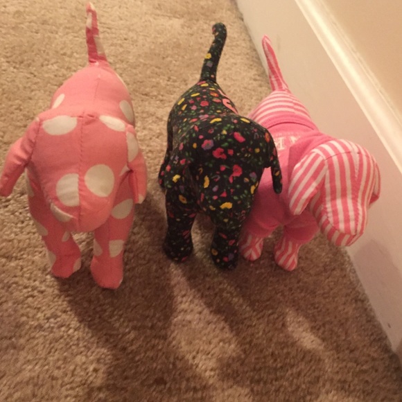3 Victoria's Secret dogs