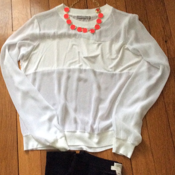 For berthaux...Long Sleeve Sheer Zara Top