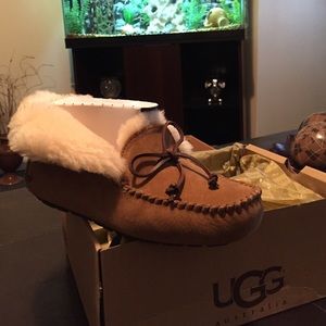 ✨ BRAND NEW AUTHENTIC UGG Moccasins