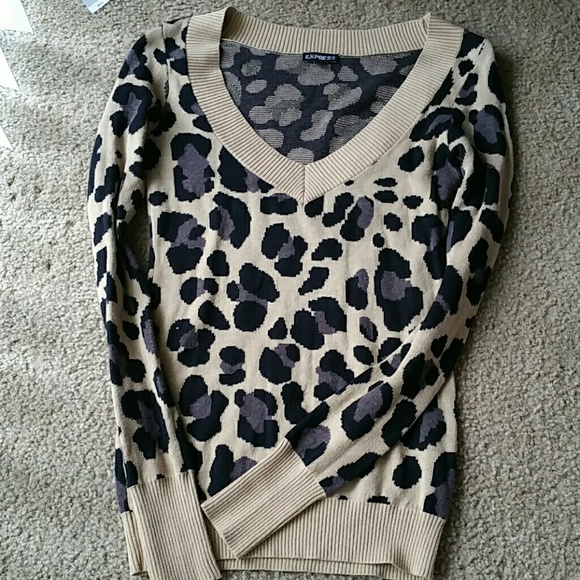 Express leopard sweater
