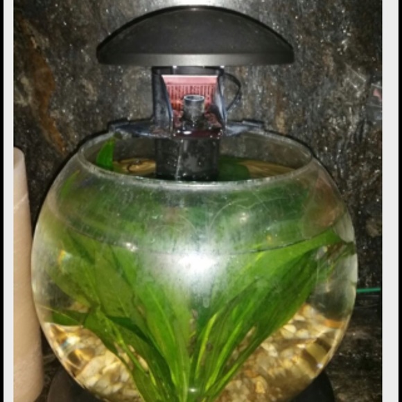 Waterfall fish bowl