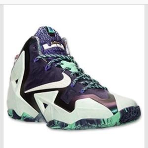 Lebron James basketball shoes