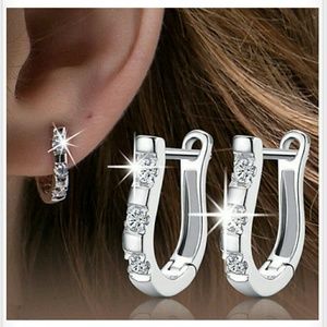 Small Silver Look Earrings