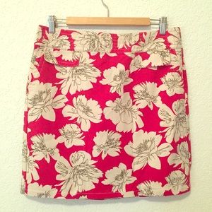 Ann Taylor skirt