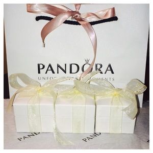 💯 Pandora Charm Boxes and shopping bag