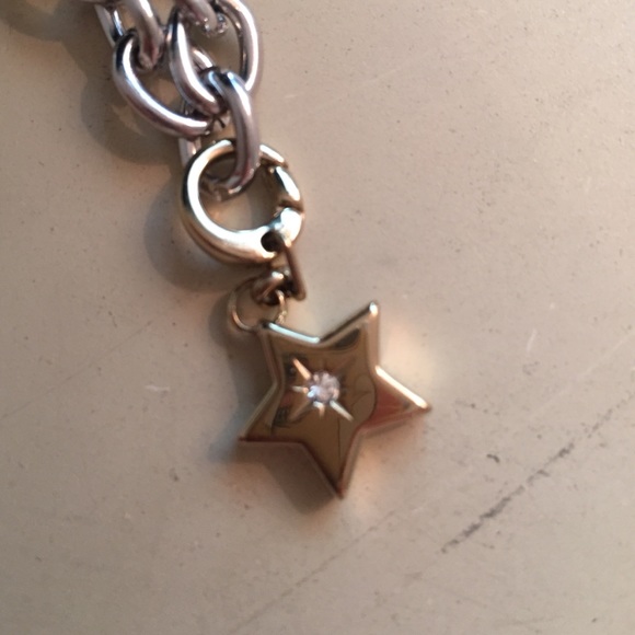 Fossil charm
