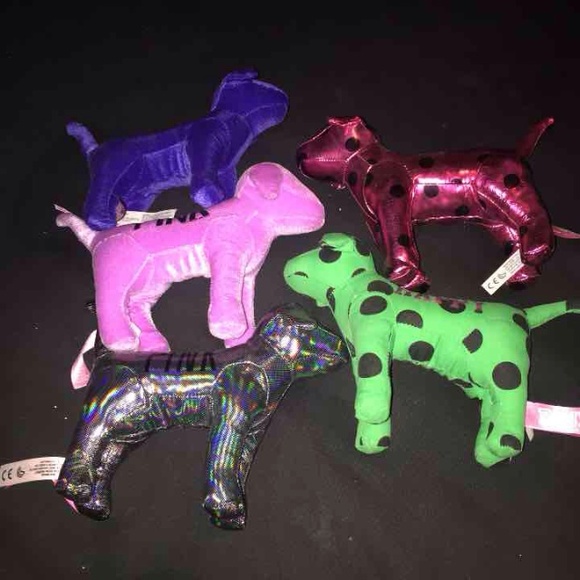 VS dog bundle!