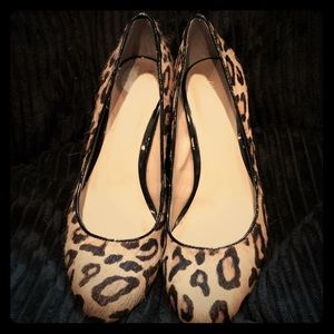 Brand New: leopard calf hair Arturo Chang