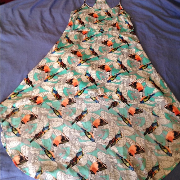 Hi/Lo Bird print women's dress
