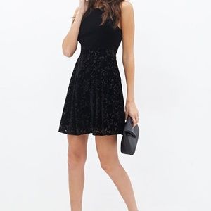 Forever 21 black velvet dress burnout floral print