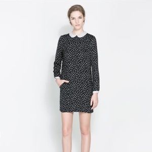 Zara black and white dress with Peter Pan collar