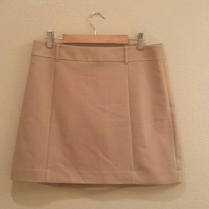 Express Skirt