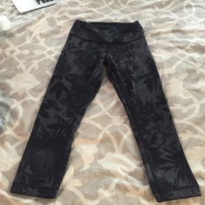 Rare lulu wunder under crops