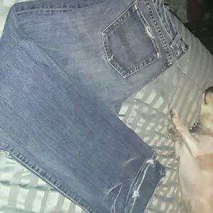 Lucky Brand Jeans