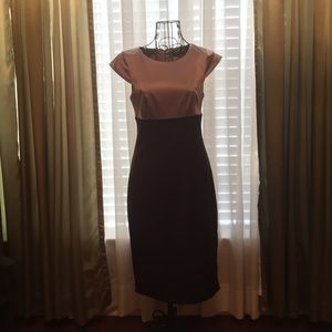 The Limited Fitted Dress