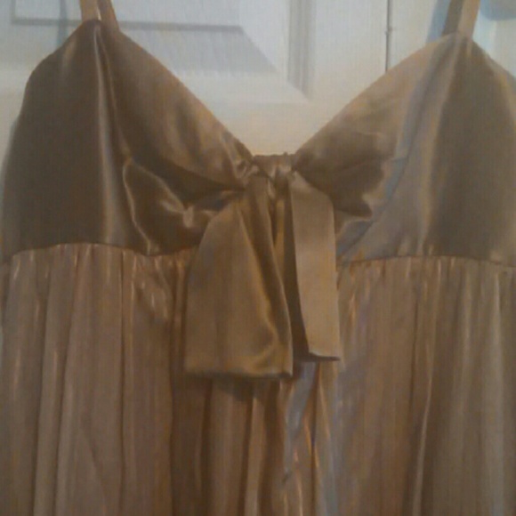 Romantic neutral chic Bcbg sz 2 new with tags