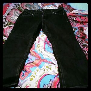 Lane Bryant dark wash boot cut Genius Fit jeans