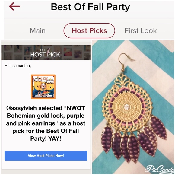 ✨2X HP✨NWOT Bohemian goldtone purple pink earrings - Picture 2 of 3