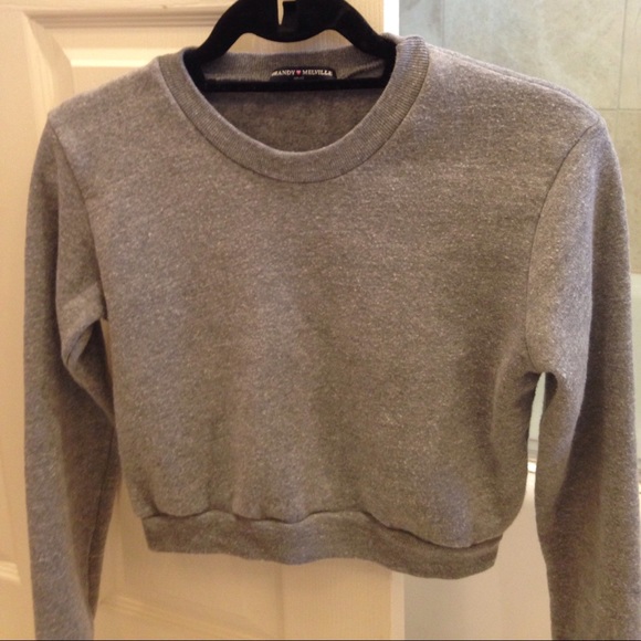 Brandy Melville Crop top sweater
