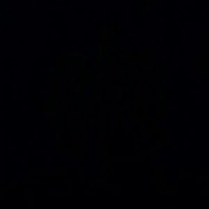 Bundle for Francesmomof3