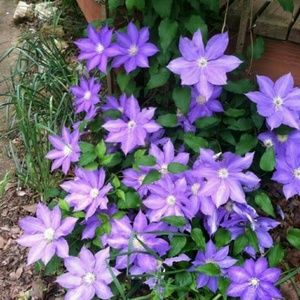 ♡♡♡BEAUTIFUL♡♡♡