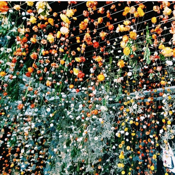 MEET ME🌈✨💅🏾💖💦🌴 Your seller/buyer! - Picture 3 of 3