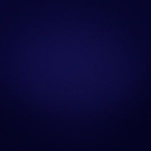 Kate spade bow necklace