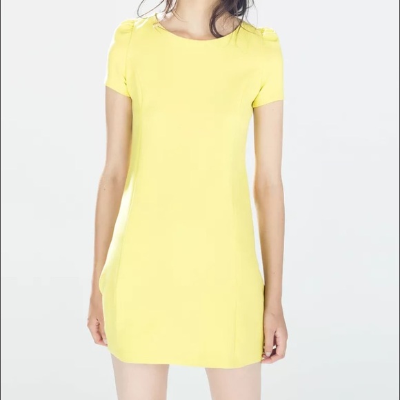 Zara ponte shift dress