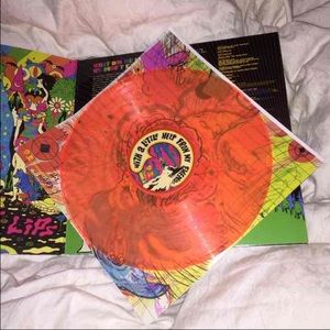 The Flaming Lips Vinyl