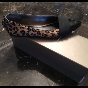 Levity flats