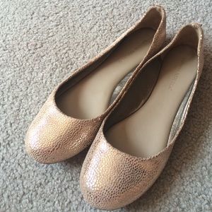 shimmery Banana Republic Ballet flats
