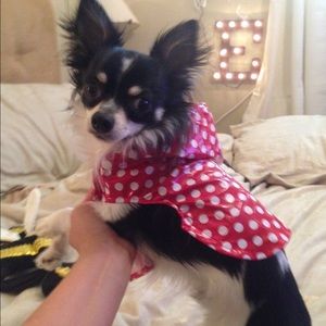 Small red and white poky dot rain jacket w/hood