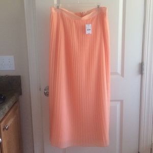 Pleated floor length skirt