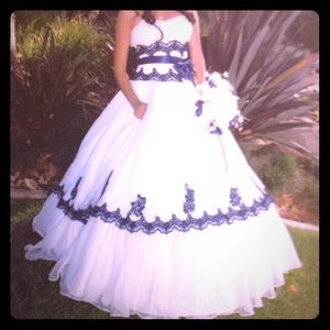 A quincenera/ ball gown/ prom dress