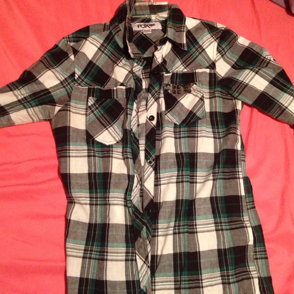Large fox, plaid, button down