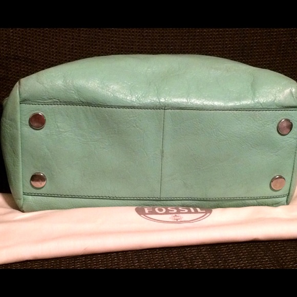 Additional Pics for Fossil listing