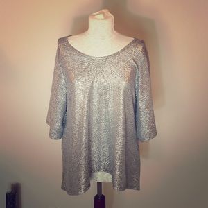 Silver metallic dressy top