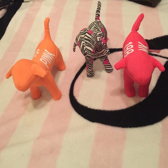 Victoria Secret Dogs