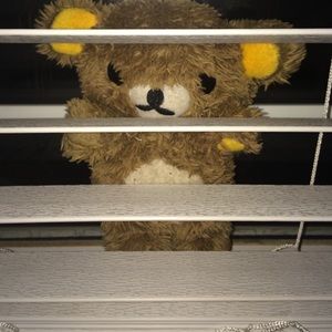 I phone 5s and 5c bear case