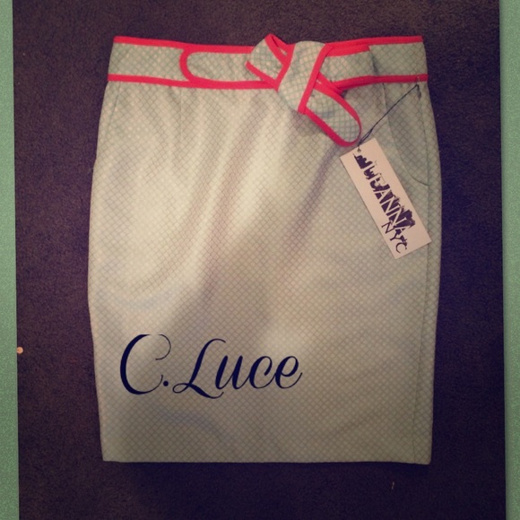 C.Luce Dresses & Skirts - 💎LAST MARKDOWN💎Multi color skirt