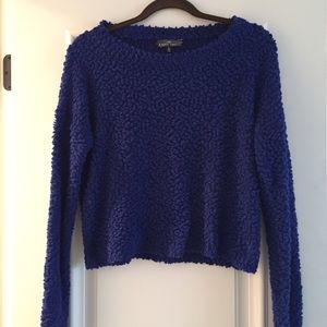 Royal blue knit sweater