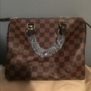 Louis Vuitton Speedy 25 Damier Ebene (LV)