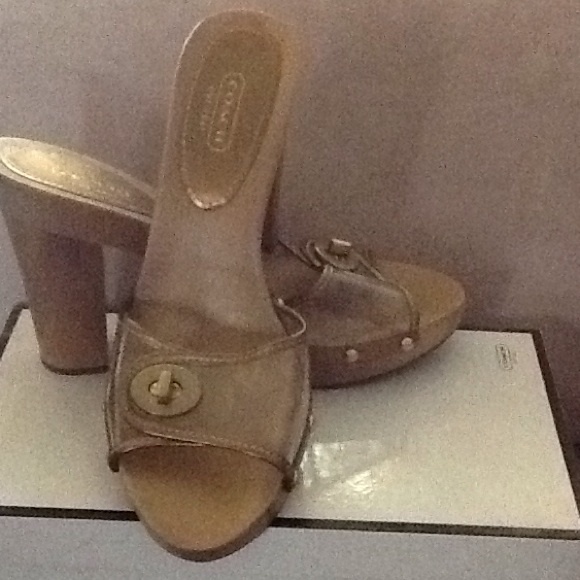 Sandals coach
