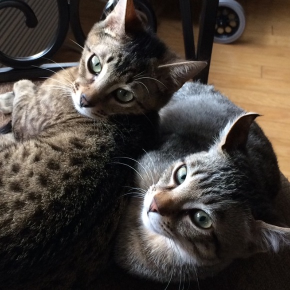 MEET YOUR SELLER:) HI! 😁 - Picture 2 of 4