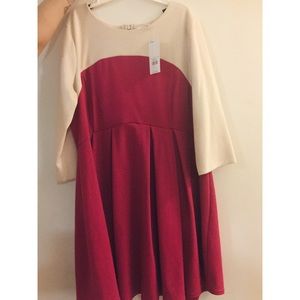 Dorothy Perkins Dress