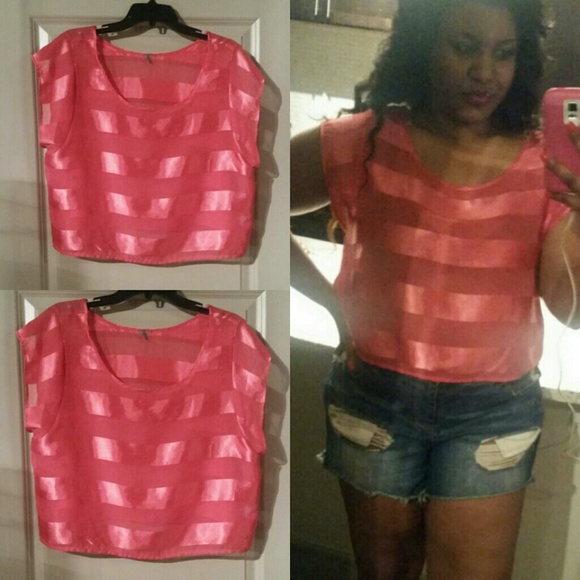 Sheer Pink Crop Top