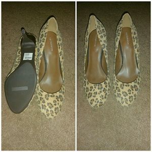 Liz Claiborne Leapard print pumps