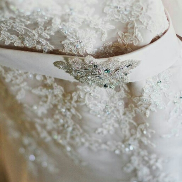 Beautiful Mori Lee blush wedding gown with veil. - Picture 3 of 4