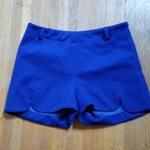 Royal Blue shorts! Fabulous for summer!