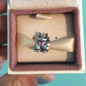 Pandora cat charm